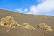 sparse vegetation on volcanic hills in Timanfaya National Park w