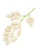 Plant made up of pills – alternative medicine concept