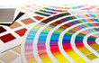 Color Swatch choices