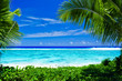 Deserted tropical beach framed by palm trees