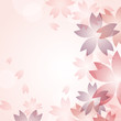 cherry blossom flowers background