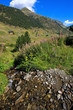 Green valley in Andorra