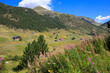 Green valley in Andorra, in the Pyrenees mountains