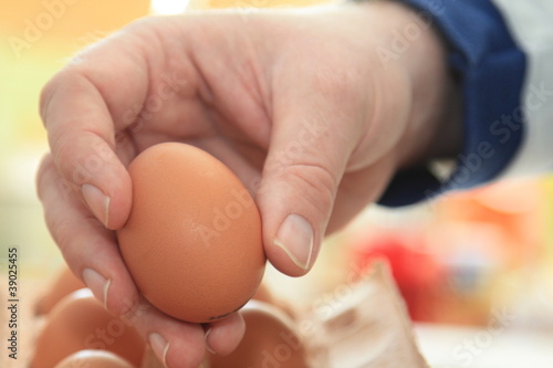 Foto: Ei - Egg Ei - Egg