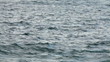Sea surface Sea surface