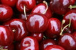 cerezas II