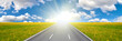 road to sun and yellow dandelions field road to sun and yellow dandelions field