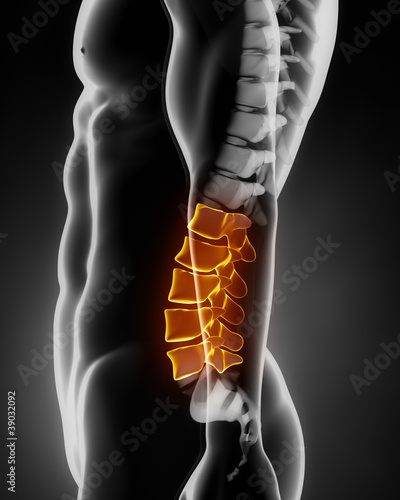 Illustration: Lumbar spine anatomy lateral view Lumbar spine anatomy lateral view