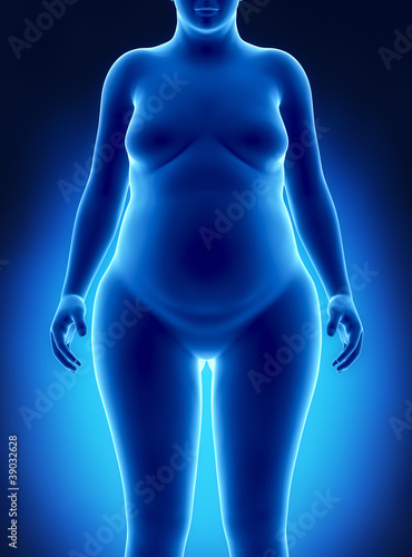 Illustration: Fat woman anterior view Fat woman anterior view