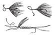 Fig. 49. Palmer. Fig. 50. Ant wing in August. Fig. 51. little Pe