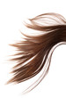 healthy hair