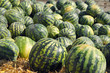 Watermelons