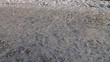 RC buggy on snow