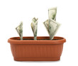 Money growth process