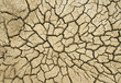 Cracked earth