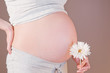 Photo: Belly of a pregnant woman with flower. Belly of a pregnant woman with flower.