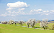 spring landscape with a road, Czech Republic