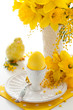 easter egg and flowers