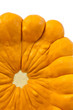 pattypan squash on white background