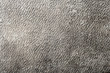 Grunge tło.