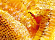 Foto: Bee honeycombs wax with honey Bee honeycombs wax with honey