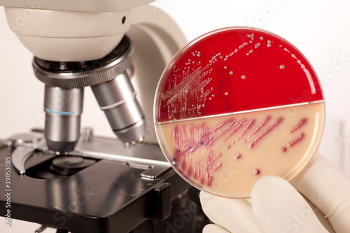 Foto: Multiresistant Multiresistant