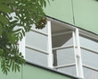 Rowan tree berry bunch and newly renovated residential house
