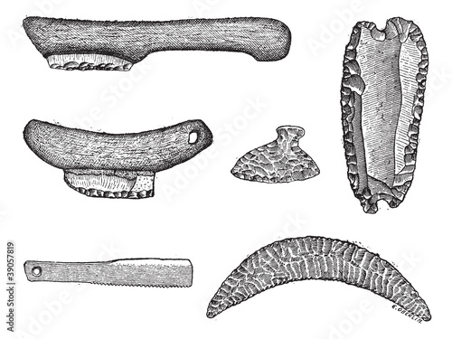 Vector: Prehistoric saws, vintage engraving. Prehistoric saws, vintage engraving.