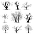 Collection of trees silhouettes