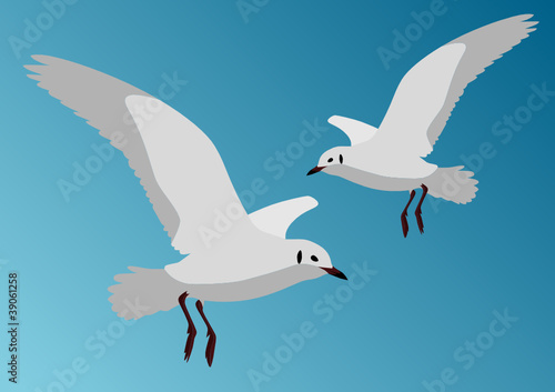 Vektor: Möwe Möwe