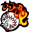 Softball Or Baseball Face Flam...