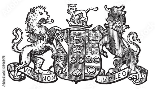 Vector: Volo Non Valeo a family motto assigned by King Charles II, vinta Volo Non Valeo a family motto assigned by King Charles II, vinta