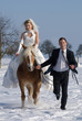 Brautpaar mit Pferd im Winter