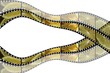 Filmstreifen Zitrone