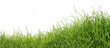 green grass