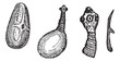 Pork Tapeworm or Taenia solium, vintage engraving