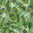 Vector: Seamless texture with peacock feathers Seamless texture with peacock feathers