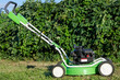 Lawn mower in the garden