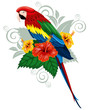 Vector: Parrot and tropical flowers Parrot and tropical flowers