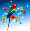 Vector: Parrot and tropical flowers Parrot and tropical flowers