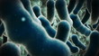 Video: Virus Attack Virus Attack