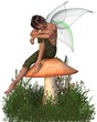 Fairy Boy Sitting on a Toadstool