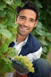 portrait of a man with grapes