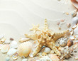 sand background with shells and starfish