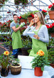 Florist woman working at flower shop. Florist woman working at flower shop.