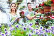Florists couple working at flower shop.