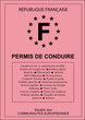 Permis de Conduire vectoriel - France