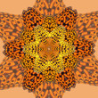 Butterfly kaleidoscope