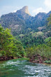 Tropical Landscape Tropical Landscape