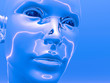 Cyborg head
